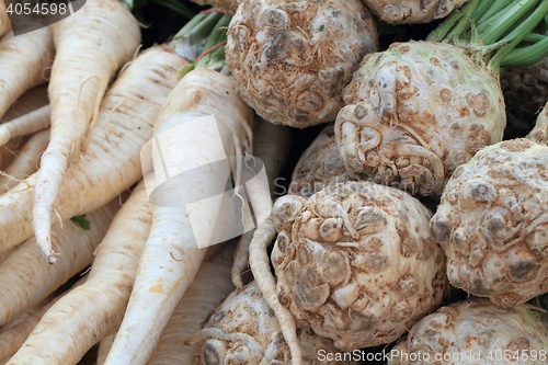 Image of celery and parsley root 