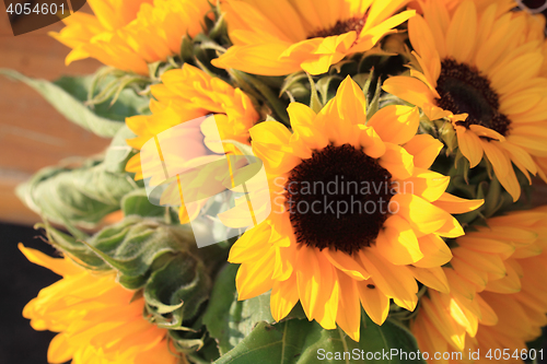 Image of yellow sunflower background