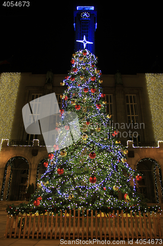 Image of tree in Ostrava city
