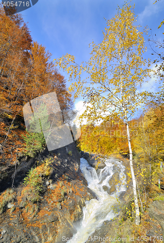 Image of Autumn colors forest and small creek