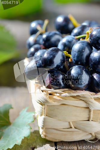 Image of grapes in a basket 