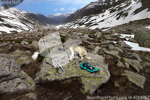 Image of Dog sleeping on big stone with hiking equipment