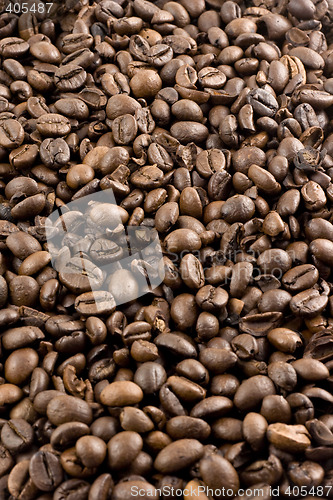 Image of Nice brown Coffee beans as a background