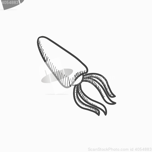 Image of Squid sketch icon.