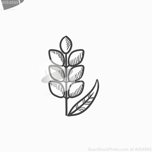 Image of Wheat sketch icon.