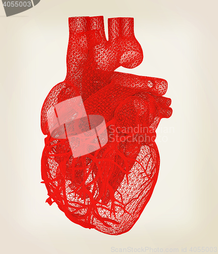 Image of Human heart. 3D illustration. Vintage style.