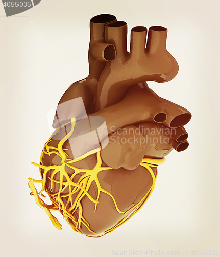 Image of Human heart. 3D illustration. Vintage style.