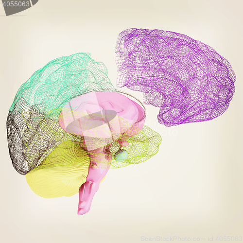 Image of Creative concept of the human brain. 3D illustration. Vintage st