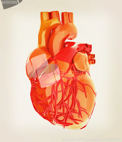 Image of Human heart. 3D illustration. Vintage style.