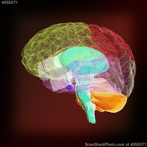 Image of Creative concept of the human brain. 3D illustration. Vintage st