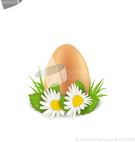 Image of Traditional Easter egg with flowers camomiles and grass, copy sp