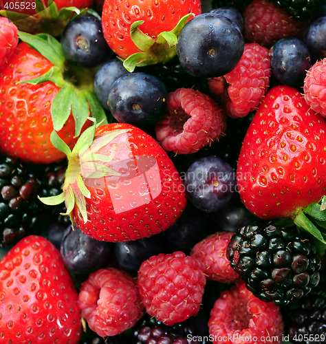 Image of Assorted fresh berries