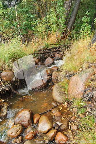 Image of Wild Brook