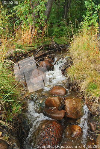 Image of Wild Brook