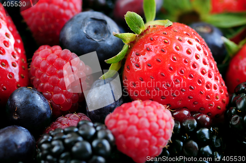 Image of Assorted fresh berries