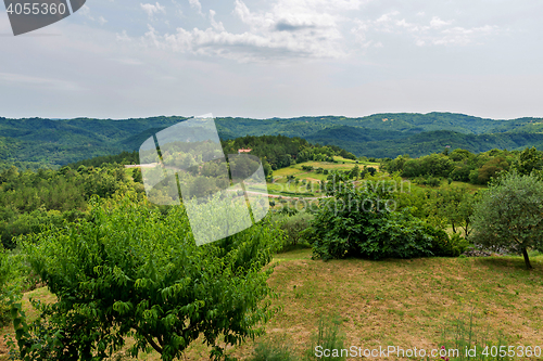 Image of Beautiful mountain scenery forest