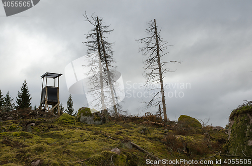 Image of Hunting tower on a forest hill