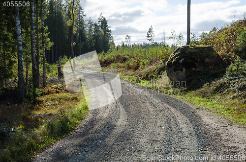Image of Backlit gravel road by fall