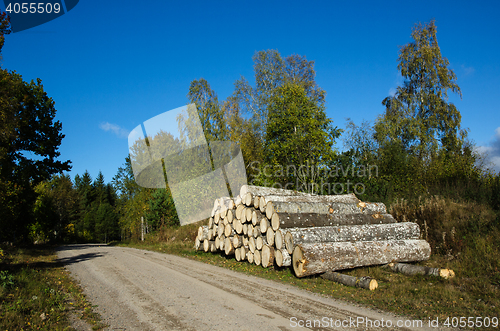 Image of Aspen timber stack by roadside