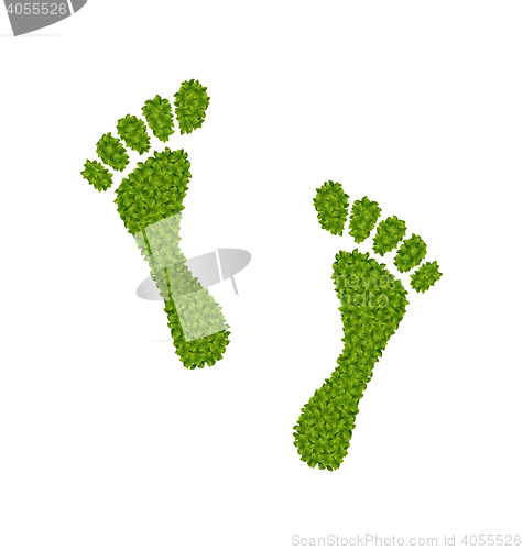 Image of Human Footsteps Made in Green Leaves