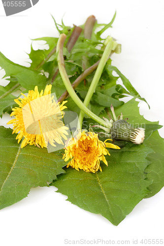 Image of Herbs for salad