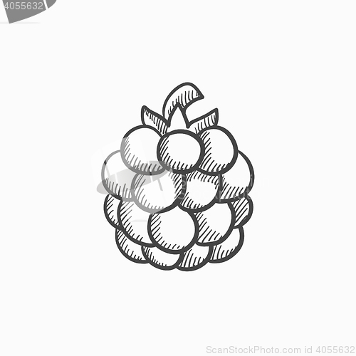 Image of Raspberry sketch icon.