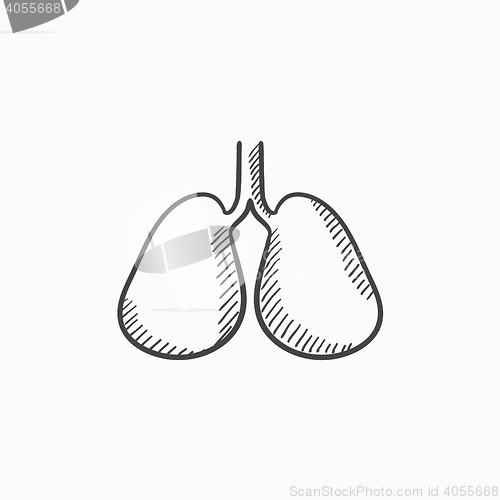 Image of Lungs sketch icon.