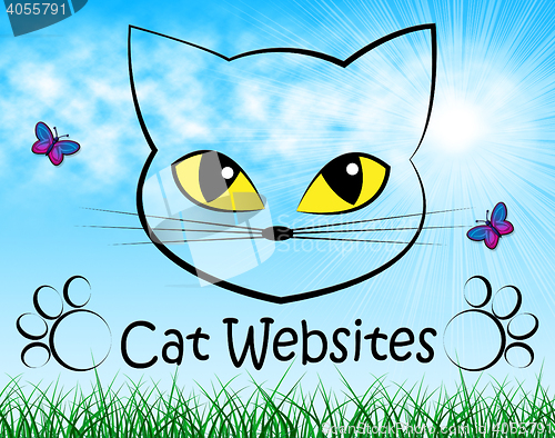 Image of Cat Websites Indicates Cats Kitten And Puss