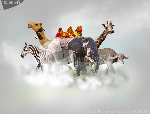 Image of Wild animals group - giraffe, elephant, zebra above white clouds in gray sky