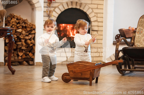 Image of The two little girls standing at home against fireplace