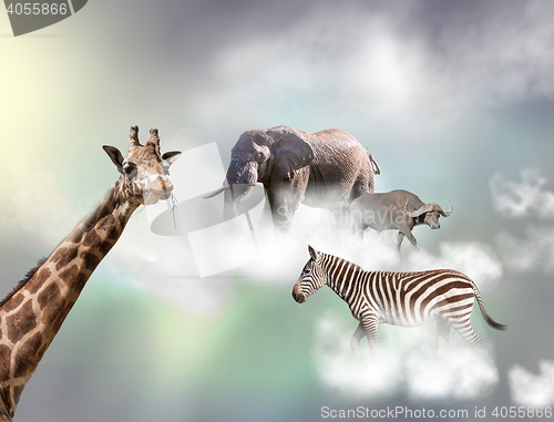 Image of The giraffe, elephant, zebra above white clouds in gray sky