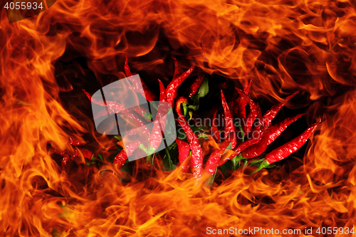 Image of fire and chili background