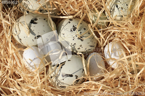 Image of easter eggs background