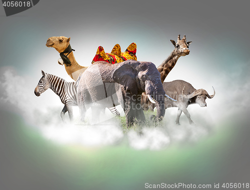 Image of Wild animals group - giraffe, elephant, zebra above white clouds in gray sky