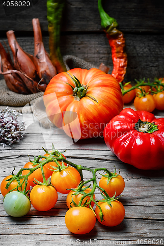 Image of harvest summer tomatoes