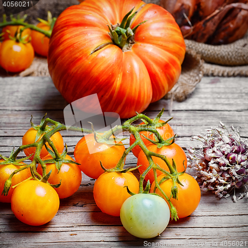 Image of harvest summer tomatoes