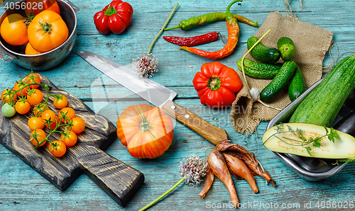 Image of harvest of summer tomatoes