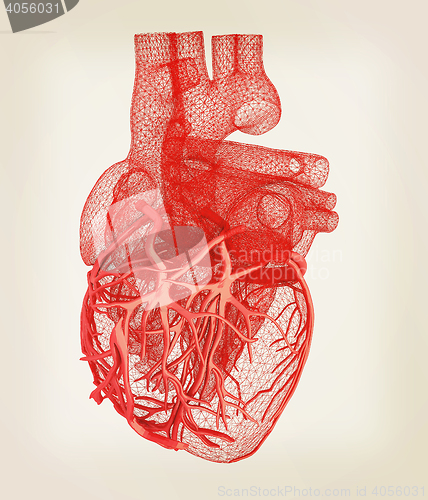 Image of Human heart. 3D illustration. Vintage style.