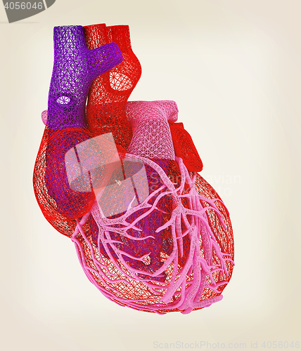 Image of Human heart. 3D illustration. Vintage style.