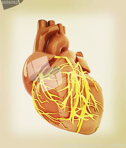 Image of Human heart. 3D illustration. Vintage style.