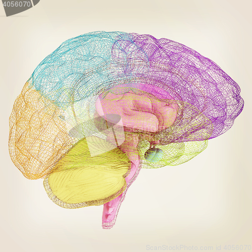 Image of Creative concept of the human brain. 3D illustration. Vintage st