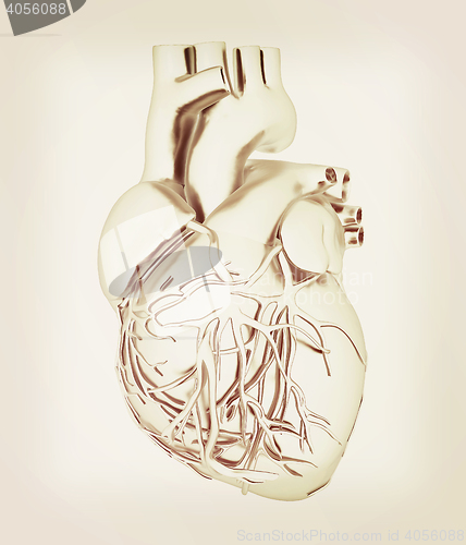 Image of Human heart. 3D illustration. Vintage style.