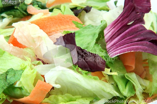 Image of salad texture