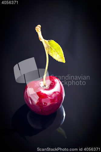 Image of 