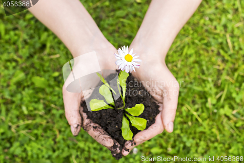 Image of 