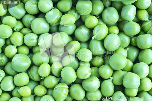 Image of 