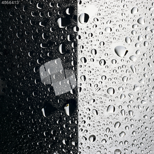Image of Water drops black and white background
