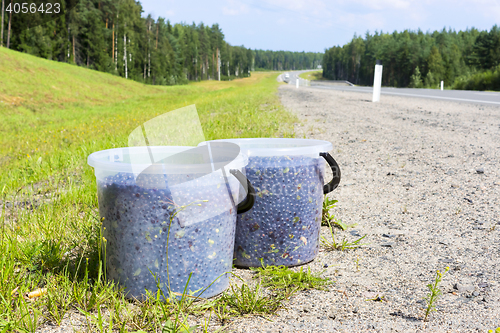 Image of Natural wild blueberries in buckets on roadside