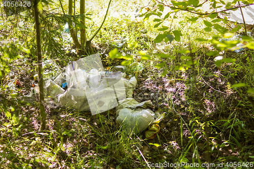 Image of Garbage spoils ecology of nature