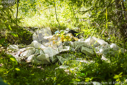 Image of Pile of garbage piled in wild woods